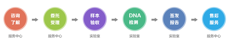 山东隐私亲子鉴定流程